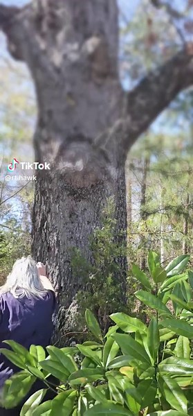 Tree Hugging Again Watch my first pinned post to see the benefits of Tree Hugging. #treehugger #trees #grounding #connectwithnature