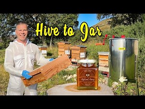 Our First 7KG of Heather Honey! - Full Process from Beehive to Jars. Ep. 257.