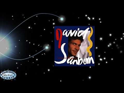 David Sanborn - The Dream
