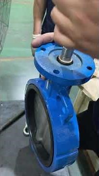 Bushing and O ring The part of butterfly valve 2