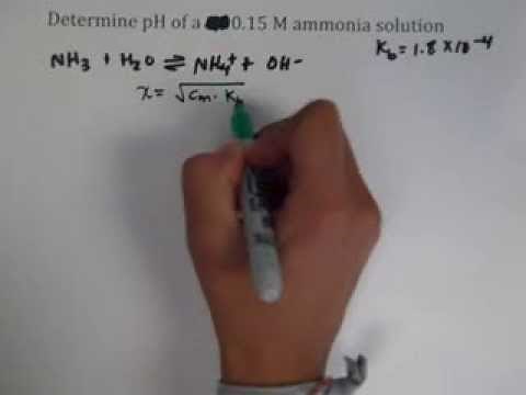 pH of an Ammonia Solution