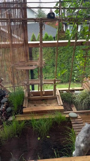 Catio season is among us