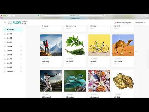 Flow Reading Fluency: Student Interface