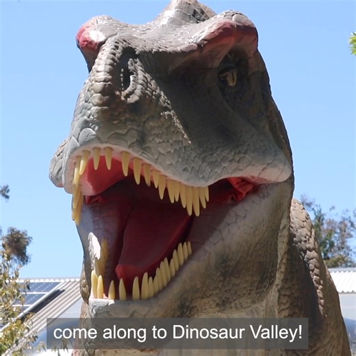 4.3K views · 556 reactions | The world's steepest railway, 60+ roaring, moving dinosaurs, and commentary from Andy Day!  練 | Scenic World Blue Mountains | Facebook