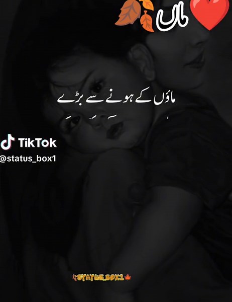 Heartfelt I Miss You Maa Status and Song