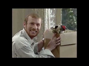 Little Cousin Scampi - High Quality, Non-Interlaced | The Sooty Show | Full Episode