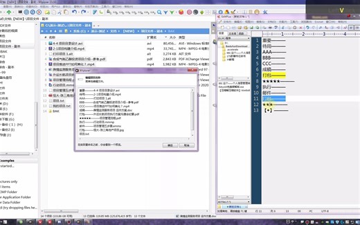 028 文件管理神器 XYplorer自定义批量重命名 # 高手也在用(1)
