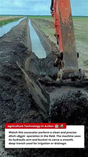 Amazing Excavator Ditch Digging – Perfect Trench Cutting Technique 🚜🌾
