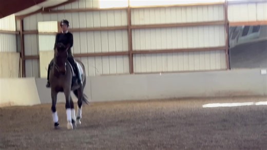 Mastering Half Pass in Dressage Training