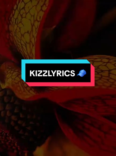 Song with Lyric: Find & Read Lyric Songs