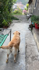 playing 😂 || labra rubi || #reelschallengereelschallenge #reelschallenge #reelsviralシ #facebookviral #FacebookPage #facebookvideo #viralreelsシ | rubi’s world