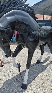 Check these new guys out! | The Cactus Shack