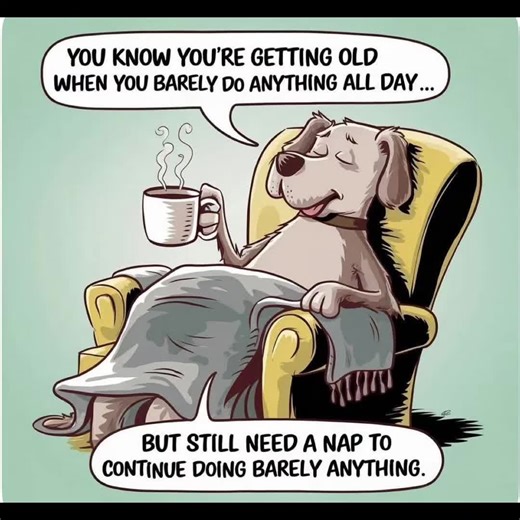 Southernwoods they say truth should not hurt and I am older than dirt.