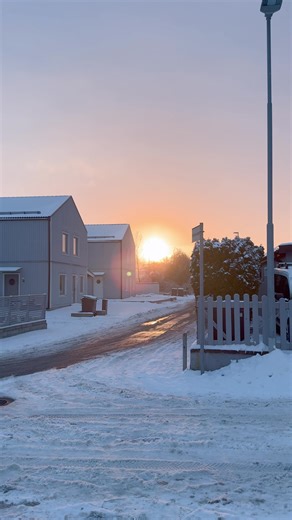 Serene Winter Walks in a Snowy Landscape