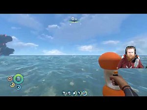 How Does the Air Bladder Work?