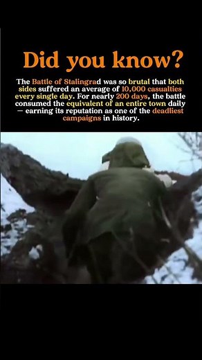 10,000 Soldiers Died Every Single Day at Stalingrad #history #worldwarii