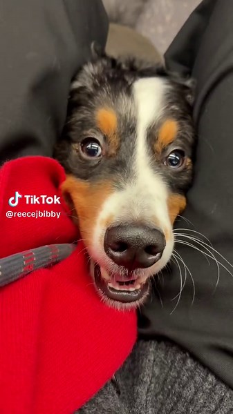 Surprise 🥺 | surprise