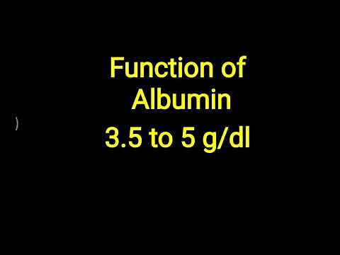 Function of Albumin