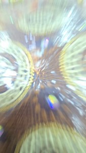 1.4K views · 12 reactions | CLEARANCE SALES 2024‼️‼️‼️ HOW TO ORDER...