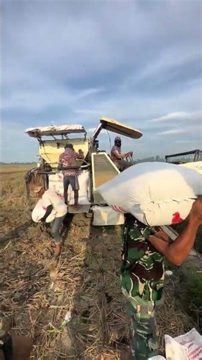 MAXXI || #maxxibimo102standar #combineharvester #automobile #kombisawah #kombi #maxxibimoterbaru