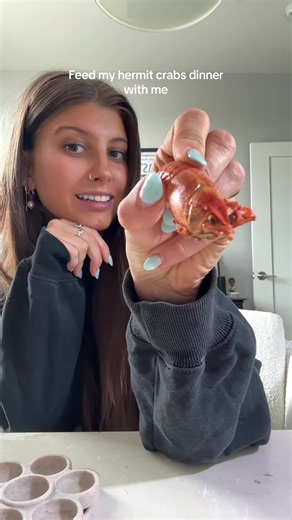Another michelin star dinner for my crustacean children. Tonight’s special is crayfish. Same foods I use are linked in my bio!🫶🏼🐚 #hermitcrabs #hermitcrab #animals #pets #beach