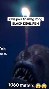 3M views · 38K reactions | Kaya pala devil's fish ang tawag sa kan ya grabi napa ka lalim pala sila nakatira ☠️ #fbreelsfypシ゚viralvideo #followerseveryonehighlights #reelschallengereelschallenge #reelsviralシfb #reelsfypシ #reelstrending #reelkarofeelkaro #fypシ゚viral #reelschallenge #allfriendsandfollowers | Emanz Moto Vlog | Facebook