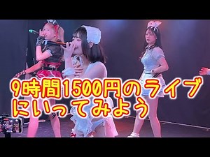 予算1600円で地下アイドルのライブに行ってみよう #9時間1500円 のライブにいく方法 #わたあめふわり ちゃんに会おう