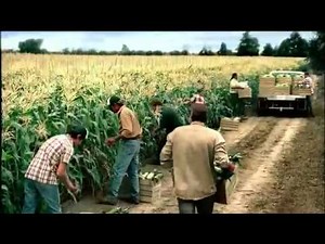 Green Giant TV Commercial, 'Rule of Nature'