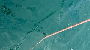 Crescent City Fishing on Reels