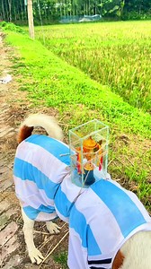 কি রাগ করলা🏆😂 #limitcrossbinodon #funnyreelsvideo #foryoupage #foryouシ #funnymoments