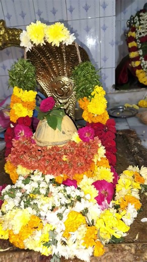 మహాశివరాత్రి శ్రీ లక్ష్మీ చెన్నకేశవ స్వామి దేవస్థానం పెద్దపాడు కర్నూల్, #shivaratri #mahadev #yts