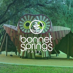 876 reactions · 278 shares | Looking for the perfect Spring Break...