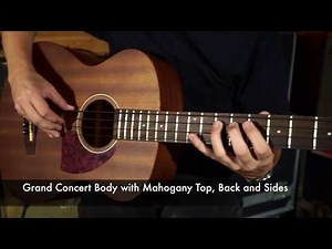 TTG "Pick Of The Day" Ibanez PCBE12MH Acoustic Bass