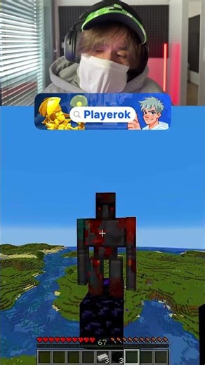 Which golem should I save? #minecraft