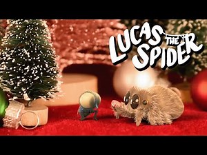 How Lucas The Spider Became Friends With Findley + More Cartoons for Kids
