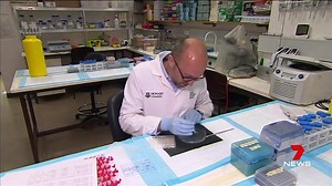 A team of Melbourne scientists has discovered a molecular switch in the brain that controls fat burning. www.7News.com.au #7News | 7NEWS Brisbane