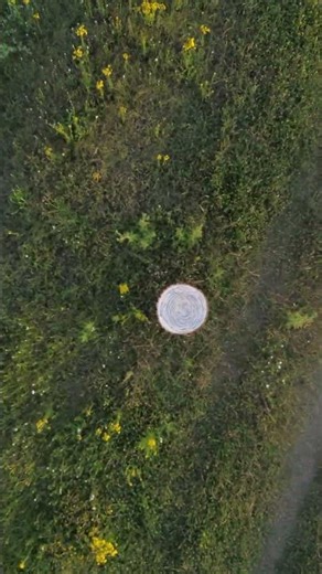 Incrustation LAB_side table_series NATURE