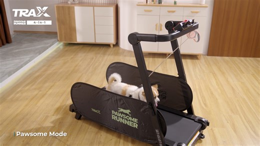 Chris Sports on Instagram: "Walking, running, working, pawsome! The Trax 4-in-1 Pawsome Runner is here. A foldable treadmill designed for home use. ✔ Super‑slim, space‑saving design with easy unfolding ✔ Two manual incline options: 1% and 4% ✔ Multi‑task friendly with a removable desktop ✔ Easy control with a digital remote ✔ Pawsome mode with pet‑friendly side guards AND MORE! Help your fur baby stay active at home with you. Shop Trax Pawsome Runner at select Chris Sports stores and online at c