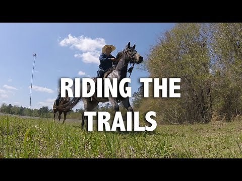 Low Country Cowboys - Trail Riding