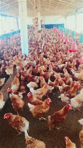 comment faire un bon démarrage