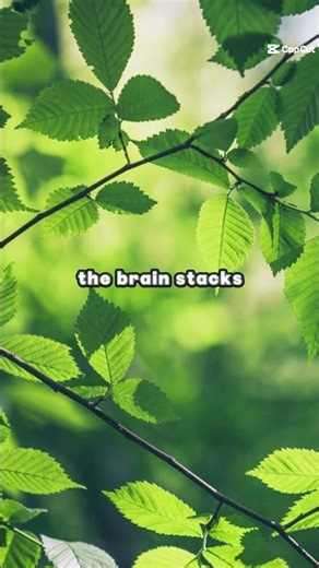 Why understanding builds in layers