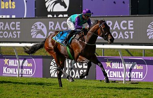 Zoustar Filly Wander Dune Impresses On Debut In South Africa  | Breednet