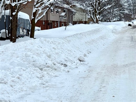 Why this year's January warm-up is more of a problem than relief - The Weather Network