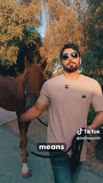 Limitless 'n Fit: Embrace a Complete Lifestyle