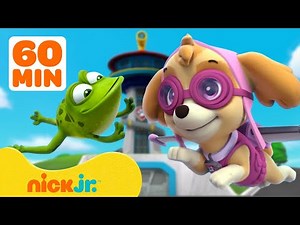 PAW Patrol Lookout Tower Animal Rescues! w/ Skye, Chase & Rocky | 1 Hour Compilation | Nick Jr.