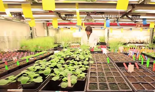 6 New Things Happening with Biofuels