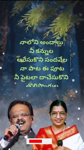 ఆరేసుకో బోయి పారేసుకున్నాను song Lyrics | Adavi Ramudu (NTR) #shorts #telugusongs