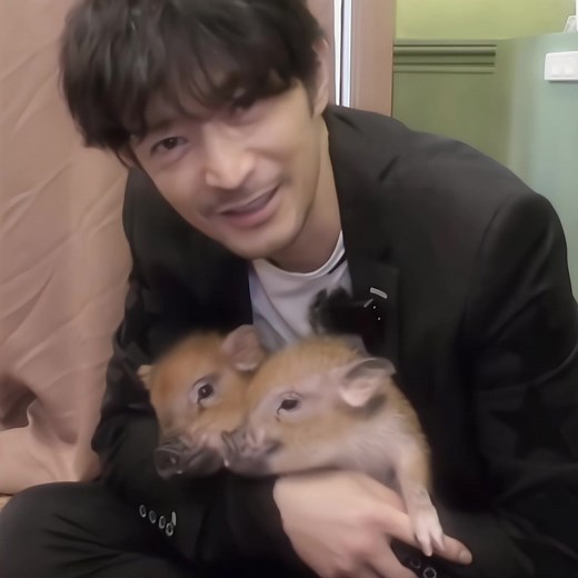 日本の声優津田健次郎が可愛いミニブタと一緒に甘えています