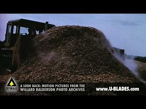 PART 2: Old Caterpillar Dozers Working - The Biggest Yard (from the Willard Balderson archives)