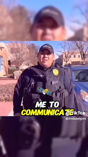 #fyp #copsoftiktok #auditor #audit #learnontiktok #cops